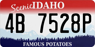 ID license plate 4B7528P