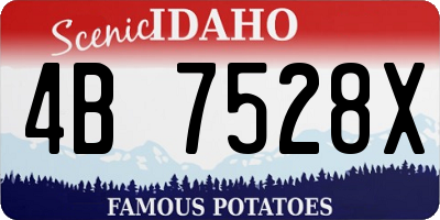 ID license plate 4B7528X