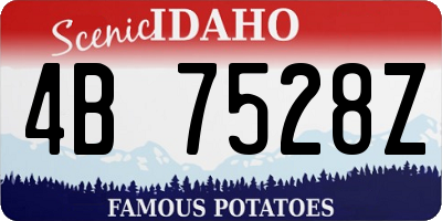 ID license plate 4B7528Z