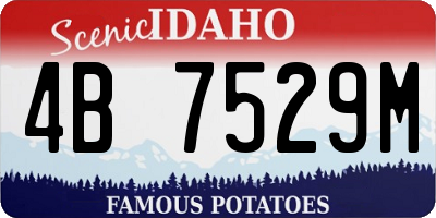 ID license plate 4B7529M