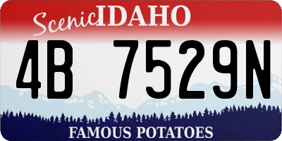 ID license plate 4B7529N