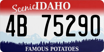ID license plate 4B7529O