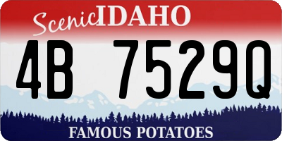 ID license plate 4B7529Q