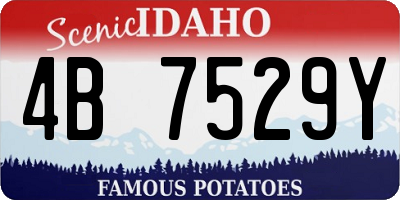 ID license plate 4B7529Y