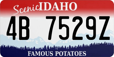 ID license plate 4B7529Z