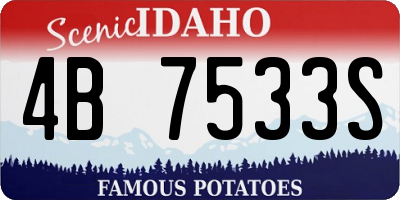 ID license plate 4B7533S