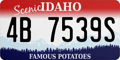 ID license plate 4B7539S