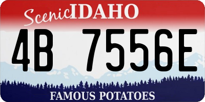 ID license plate 4B7556E
