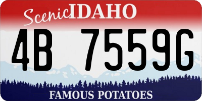 ID license plate 4B7559G