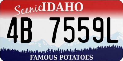 ID license plate 4B7559L