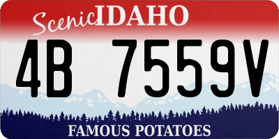ID license plate 4B7559V