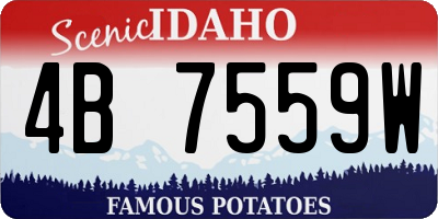 ID license plate 4B7559W