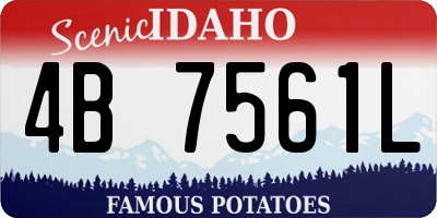 ID license plate 4B7561L