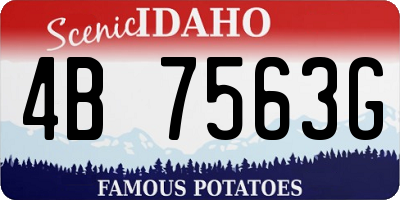 ID license plate 4B7563G