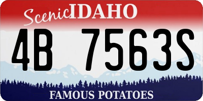 ID license plate 4B7563S