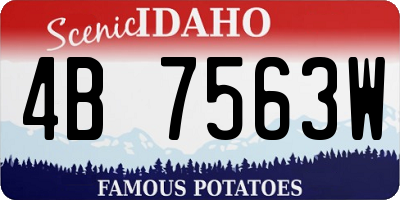 ID license plate 4B7563W