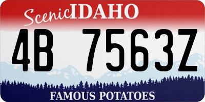 ID license plate 4B7563Z