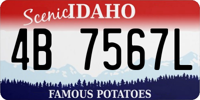 ID license plate 4B7567L