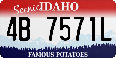 ID license plate 4B7571L