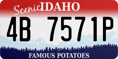 ID license plate 4B7571P