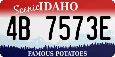 ID license plate 4B7573E