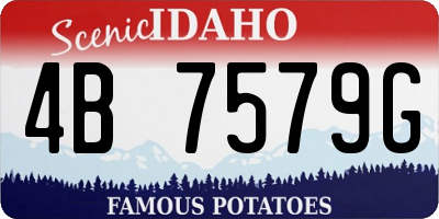 ID license plate 4B7579G