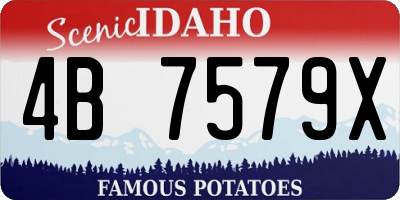 ID license plate 4B7579X