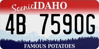 ID license plate 4B7590G