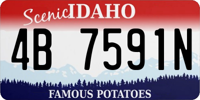 ID license plate 4B7591N