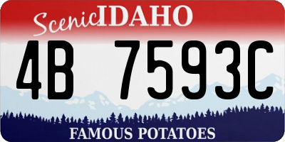 ID license plate 4B7593C