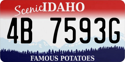 ID license plate 4B7593G