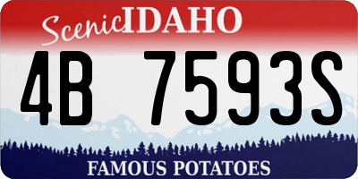 ID license plate 4B7593S