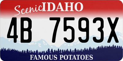 ID license plate 4B7593X