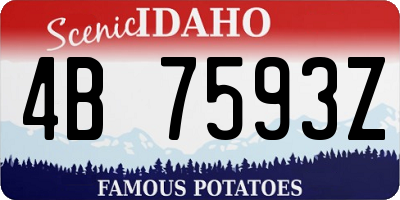 ID license plate 4B7593Z