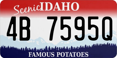 ID license plate 4B7595Q