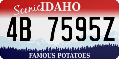 ID license plate 4B7595Z