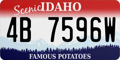 ID license plate 4B7596W