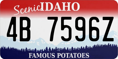 ID license plate 4B7596Z