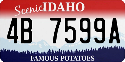 ID license plate 4B7599A