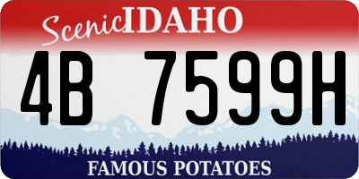 ID license plate 4B7599H