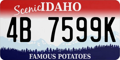 ID license plate 4B7599K