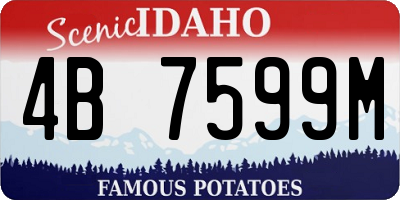 ID license plate 4B7599M