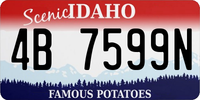 ID license plate 4B7599N