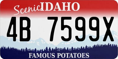 ID license plate 4B7599X