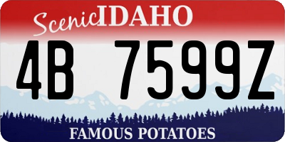 ID license plate 4B7599Z