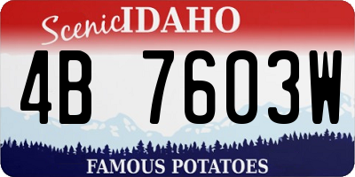 ID license plate 4B7603W