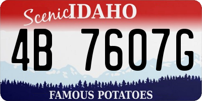 ID license plate 4B7607G
