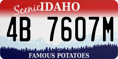 ID license plate 4B7607M