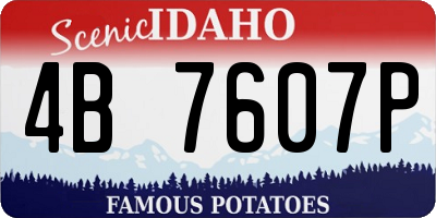 ID license plate 4B7607P