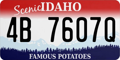 ID license plate 4B7607Q